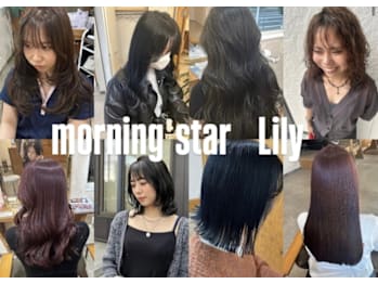 morning star lily(北海道札幌市中央区)