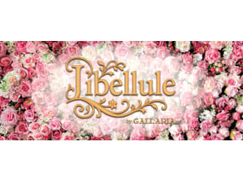 Libellule by GALLARIA 可児店【リベリュール バイ ガレリア カニテン】(岐阜県可児市／美容室)