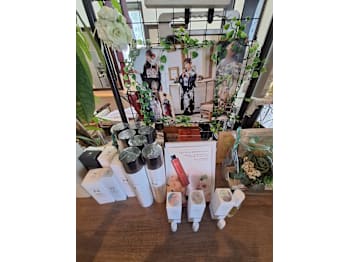 カットサロン CaRino 【カリーノ】【カットサロンカリーノ】(大分県宇佐市大字／美容室)