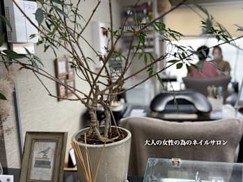 BEAUT-BUTTERFLY 相模大野店(神奈川県相模原市南区)