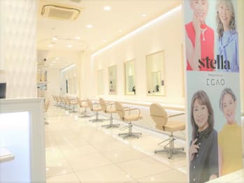 stella 柏店(千葉県柏市)
