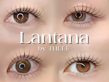 Lantana by THLEE(東京都港区)