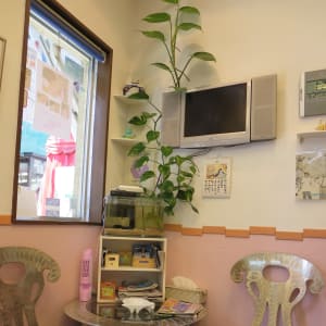 日暮里 駒込 千駄木でオススメ 眉カット 眉カラー 眉エクステが