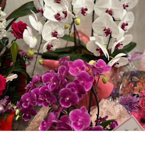 鈴鹿市算所で価格が安い マツエク まつげエクステ が得意なネイル まつげサロンの検索 予約 楽天ビューティ