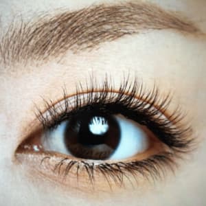 水戸で価格が安い マツエク まつげエクステ が得意なネイル まつげサロンの検索 予約 楽天ビューティ