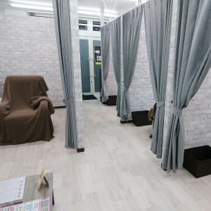 宮崎県で口コミが多い マツエク まつげエクステ が得意なネイル まつげサロンの検索 予約 楽天ビューティ