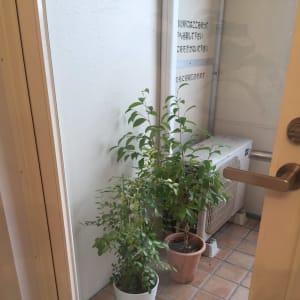 博多駅でオススメ フットネイル ペディキュアが得意なネイル まつげサロンの検索 予約 楽天ビューティ