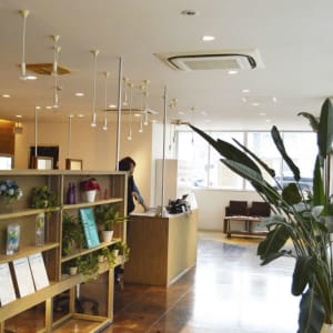 Salons Hair 福山三吉店 サロンズヘア フクヤマミヨシテン の予約 サロン情報 美容院 美容室を予約するなら楽天ビューティ Salons Hair 福山三吉店 サロンズヘア フクヤマミヨシテン の予約 サロン情報 美容院 美容室を予約するなら楽天ビューティ