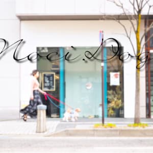 松本市で価格が安い ストレートパーマが得意な美容院 美容室10選 楽天ビューティ