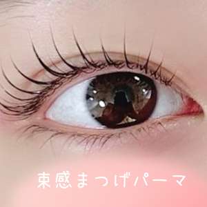 新宿で価格が安い マツエク まつげエクステ が得意なネイル まつげサロン選 楽天ビューティ