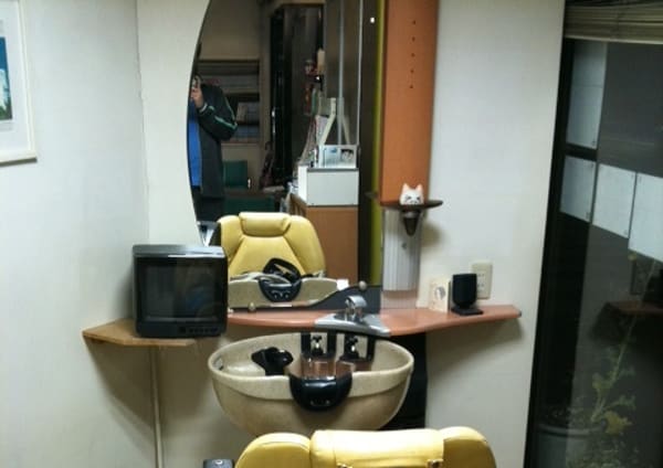 稲城市で注目されている 美容院 美容室の検索 予約 楽天ビューティ