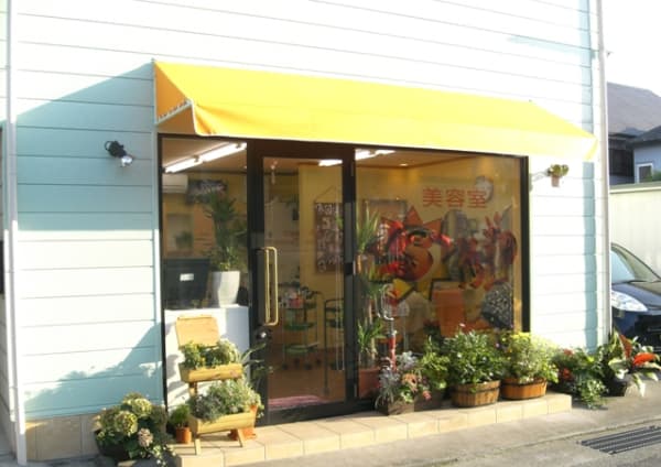 徳島県でオススメ ヘアカラーが得意な美容院 美容室選 楽天ビューティ