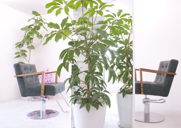 四条河原町 河原町三条で価格が安い メンズ美容院 美容室選 楽天ビューティ