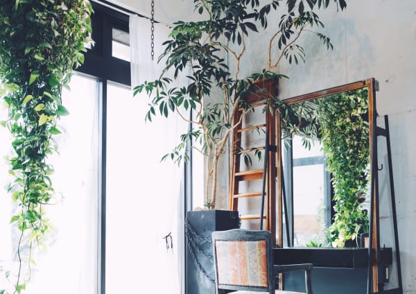 南草津駅で価格が安い 美容院 美容室の検索 予約 楽天ビューティ