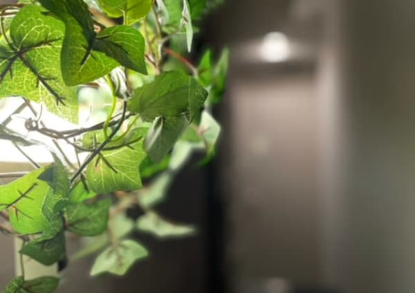 大阪府でオススメ 足つぼ 足裏マッサージ リフレクソロジーが得意なリラク マッサージサロン30選 楽天ビューティ