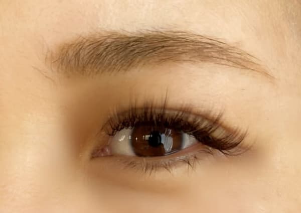 ベスト マツエク 安い 札幌 札幌市白石区 マツエク 安い