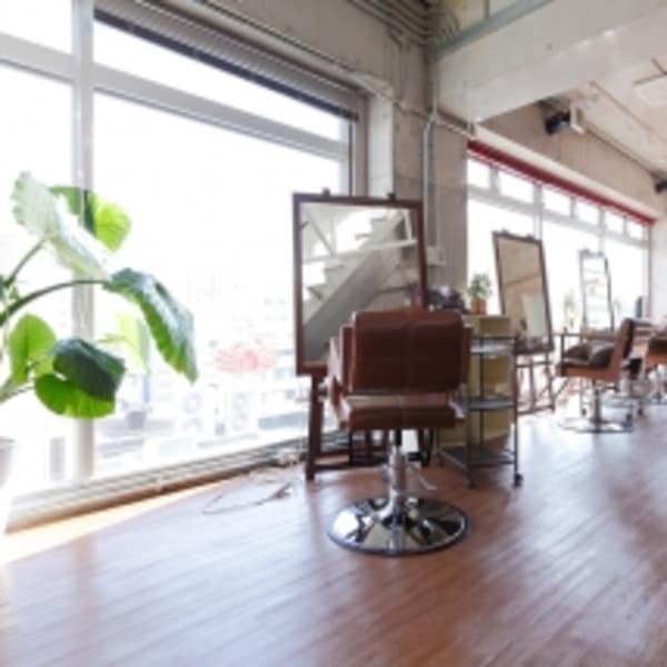 Door Bell hair Living