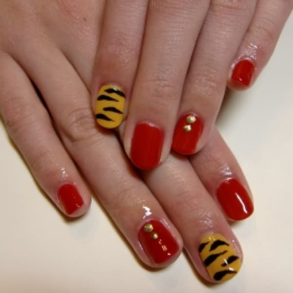 ☆アニマル・tiger☆