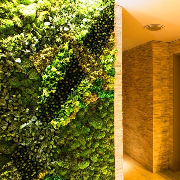 銀座 シェービング