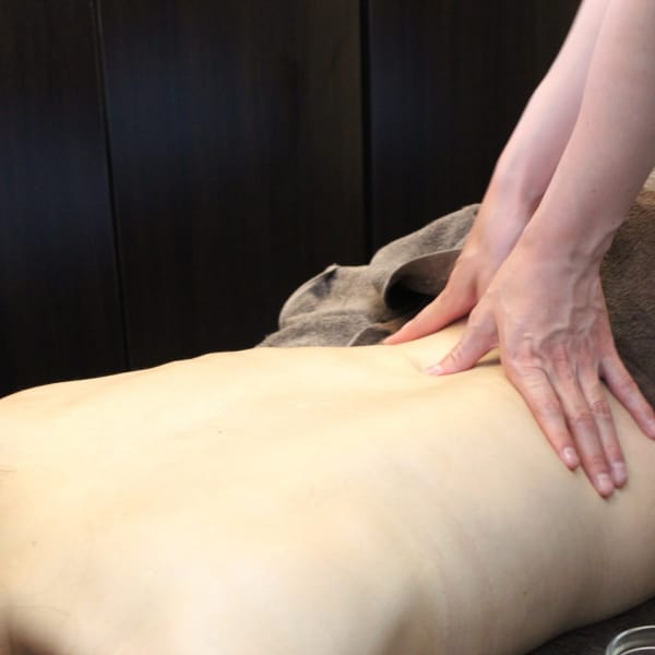 NUDE COLOR 太田川店