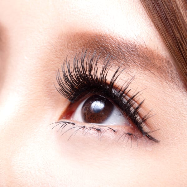 はなはなプラス店