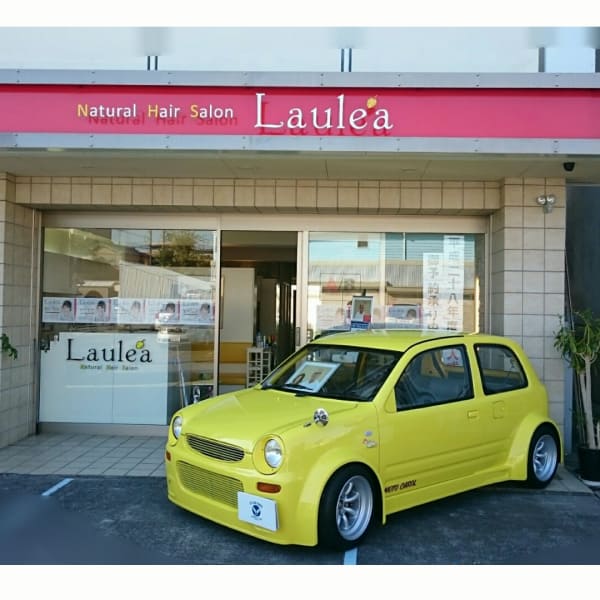 Natural Hair Salon  Laulea