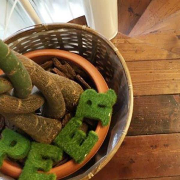 Relaxation Salon Peer