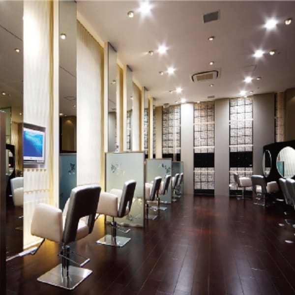 VAN COUNCIL camellia HAIR by sakamoto