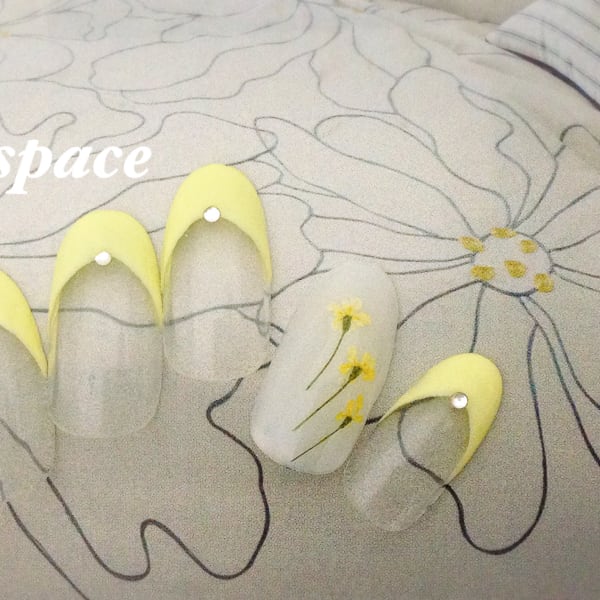 イエローフレンチ/押し花