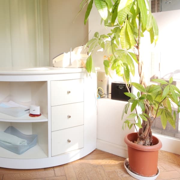 バランス療法院 みどり