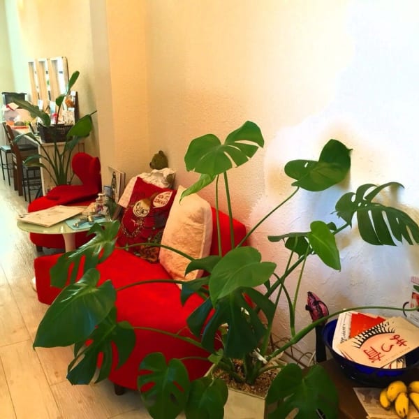 トータルビューティスペースU'IU'I