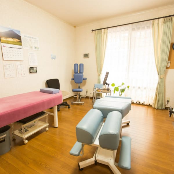 ジャパンカイロプラクティック 緑