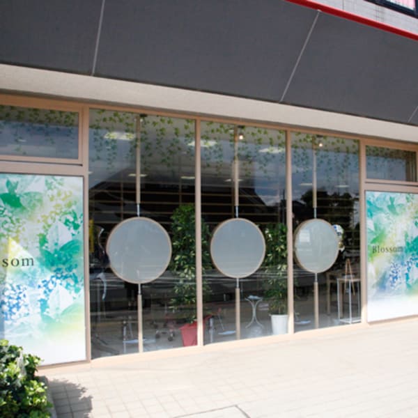 Blossom ふじみ野店【ヘッドスパ／髪質改善】