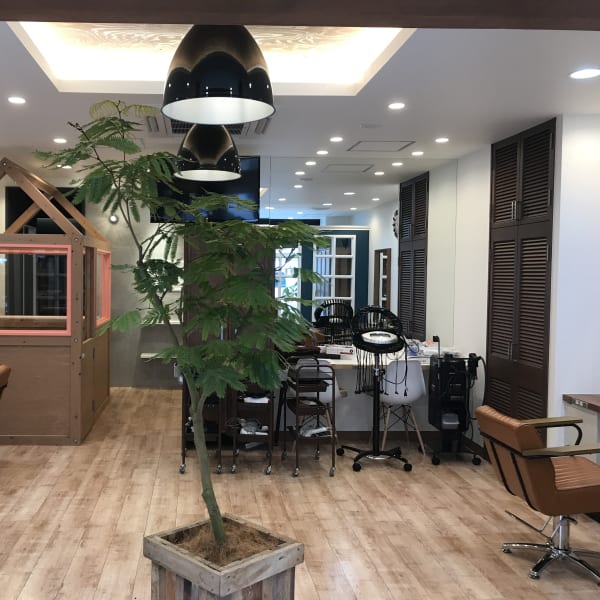 plecooze  hair  oasis