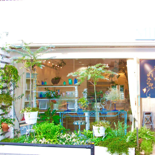 MIENE Hair【髪質改善 × 本格エイジングケア専門】