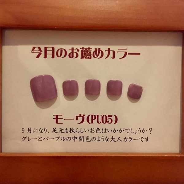 9月のおすすめカラ―：モーヴ