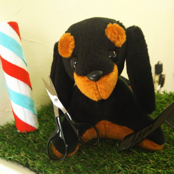 NiiMI【ニイミ】