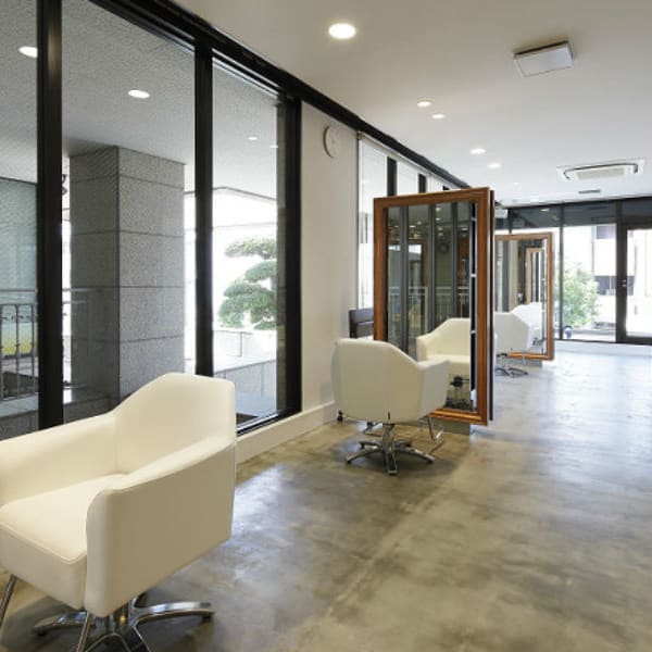 Blendz of arts morio