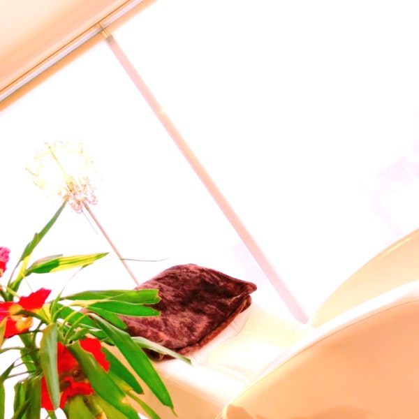 CHELUMO EYELASH 茅ヶ崎