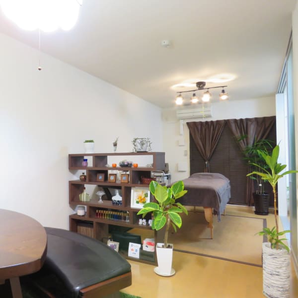 Total therapy salon Lotus