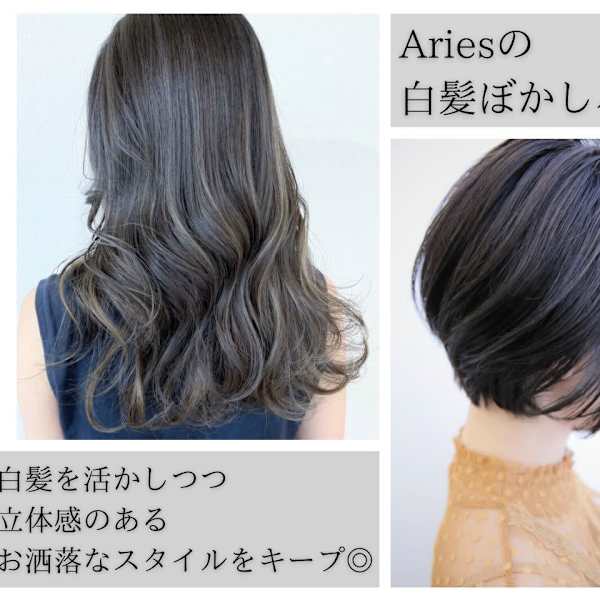 Aries 南富山店