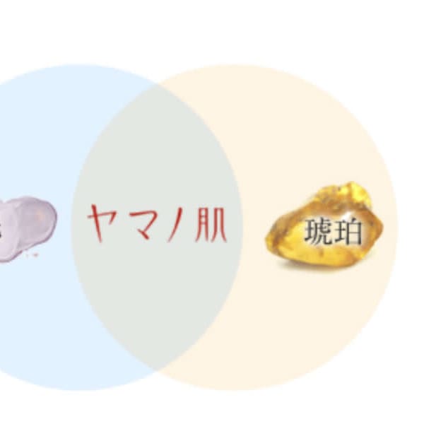 山野愛子どろんこ美容 エステデミサロン東神奈川店