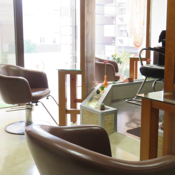 salon du Siesta