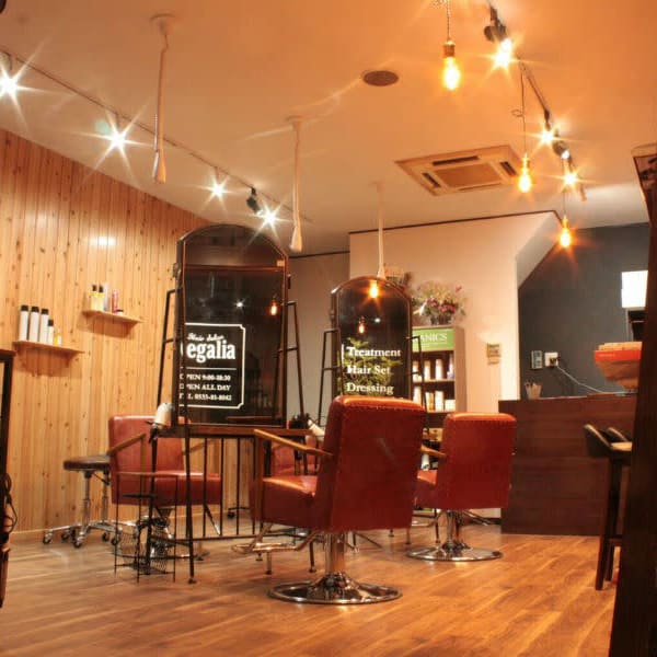 Hair Salon Regalia