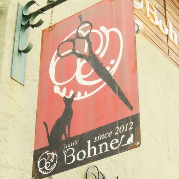 hair's Bohne