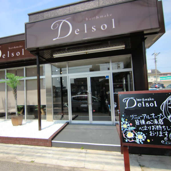 Delsol