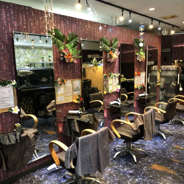 hair salon Ara