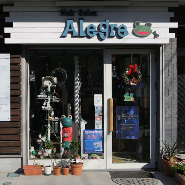 Hair Salon Alegre