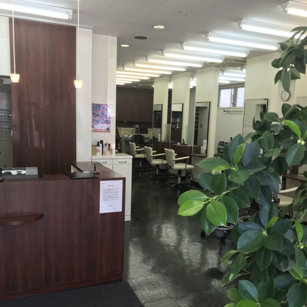 Samanea Saman 千葉NT店