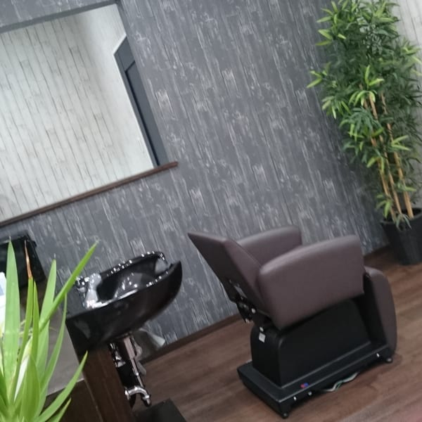 hair M.V.